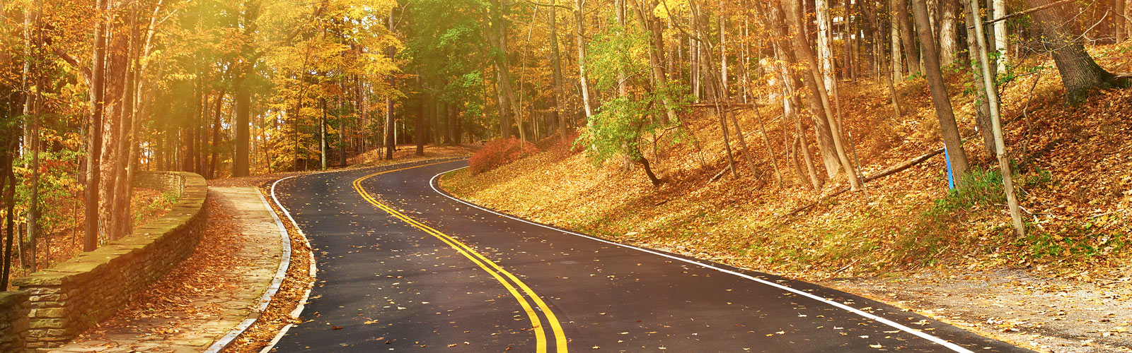 Fall Car Sale