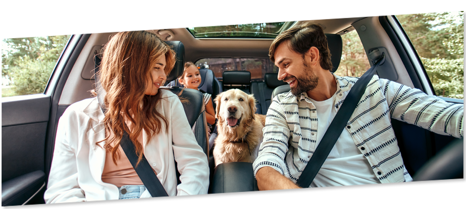homepage promo image