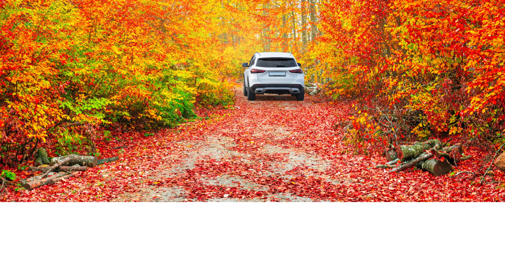 Car driving through leaves