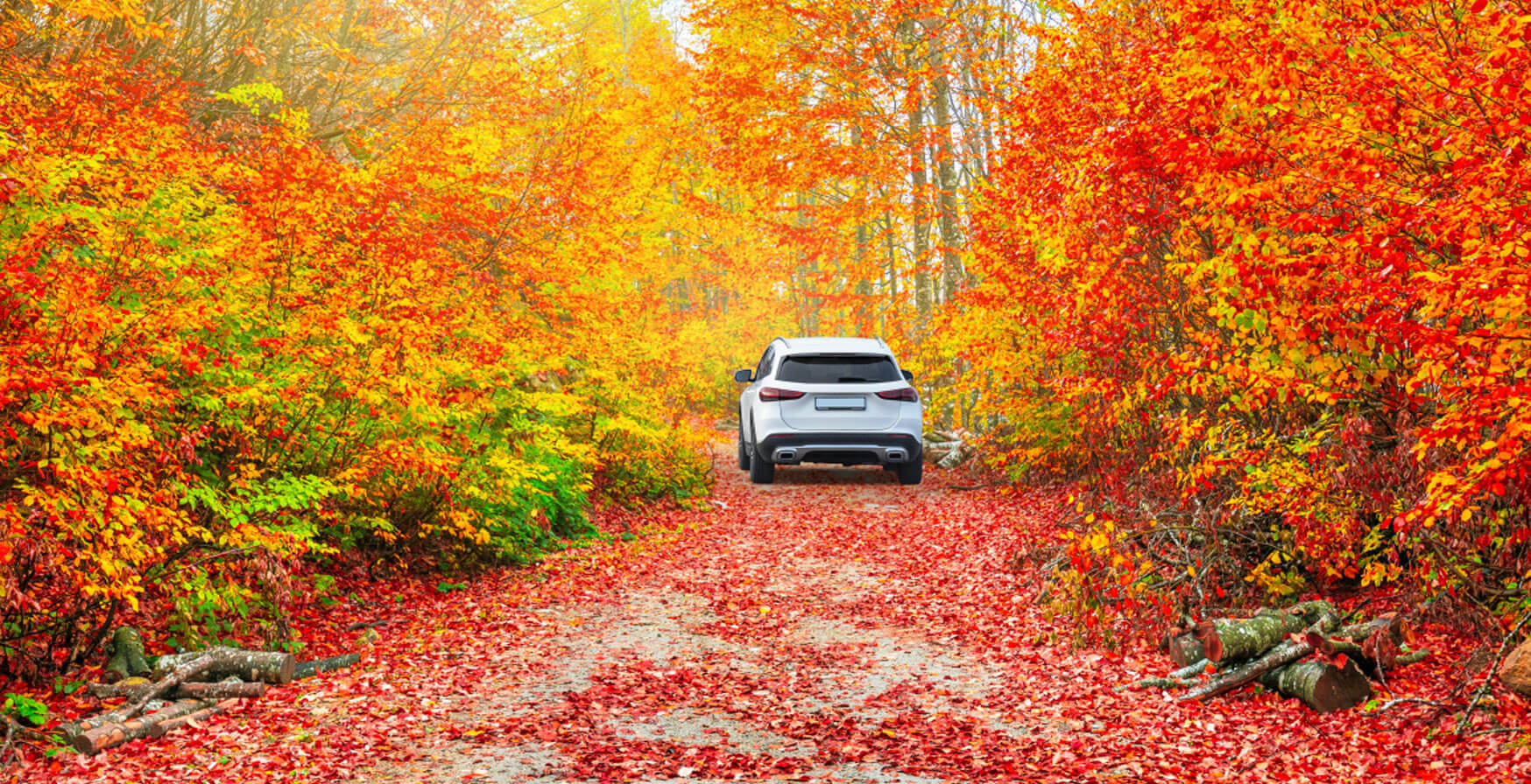 Car driving through fall leaves