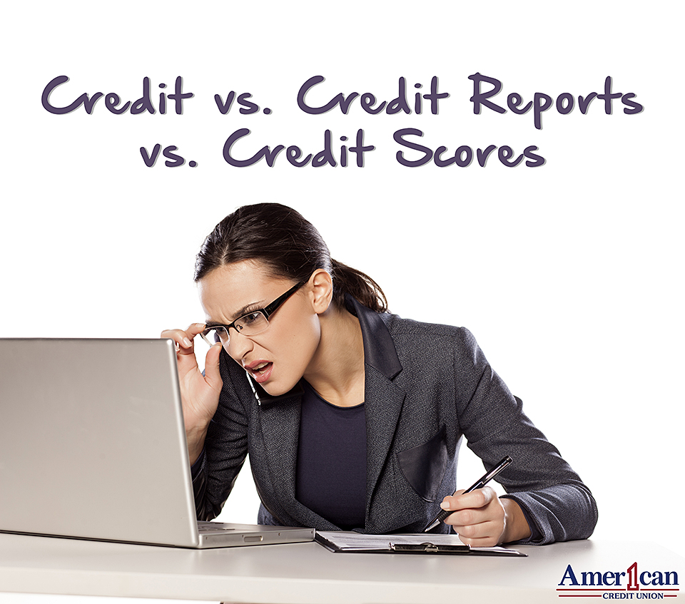 credit vs credit report vs credit scores